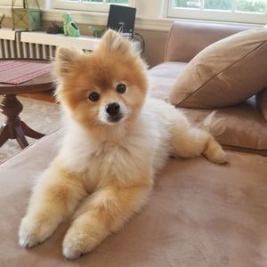 Meet your Posher, Michelle